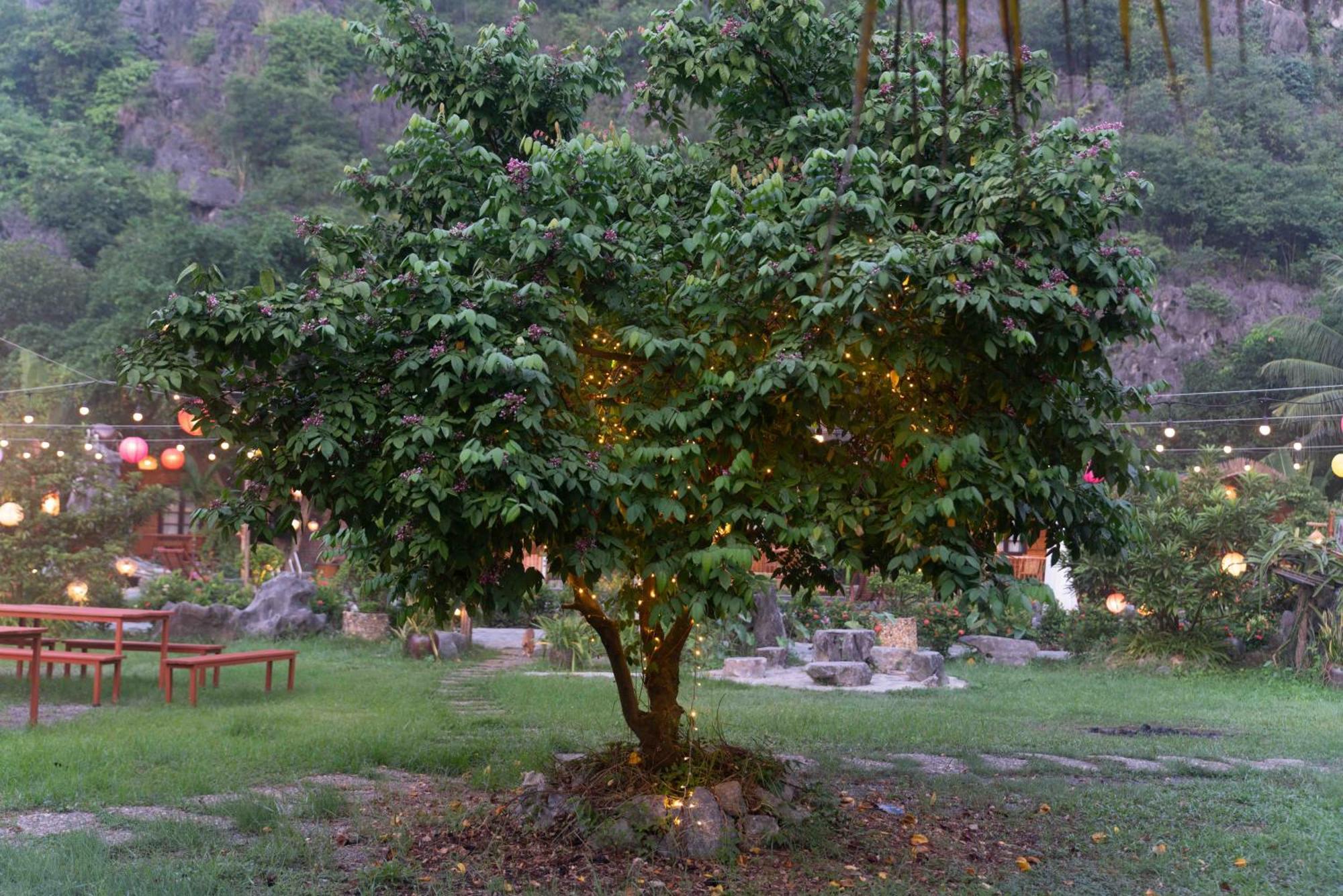 The Goat Boutique Resort Ninh Binh Esterno foto