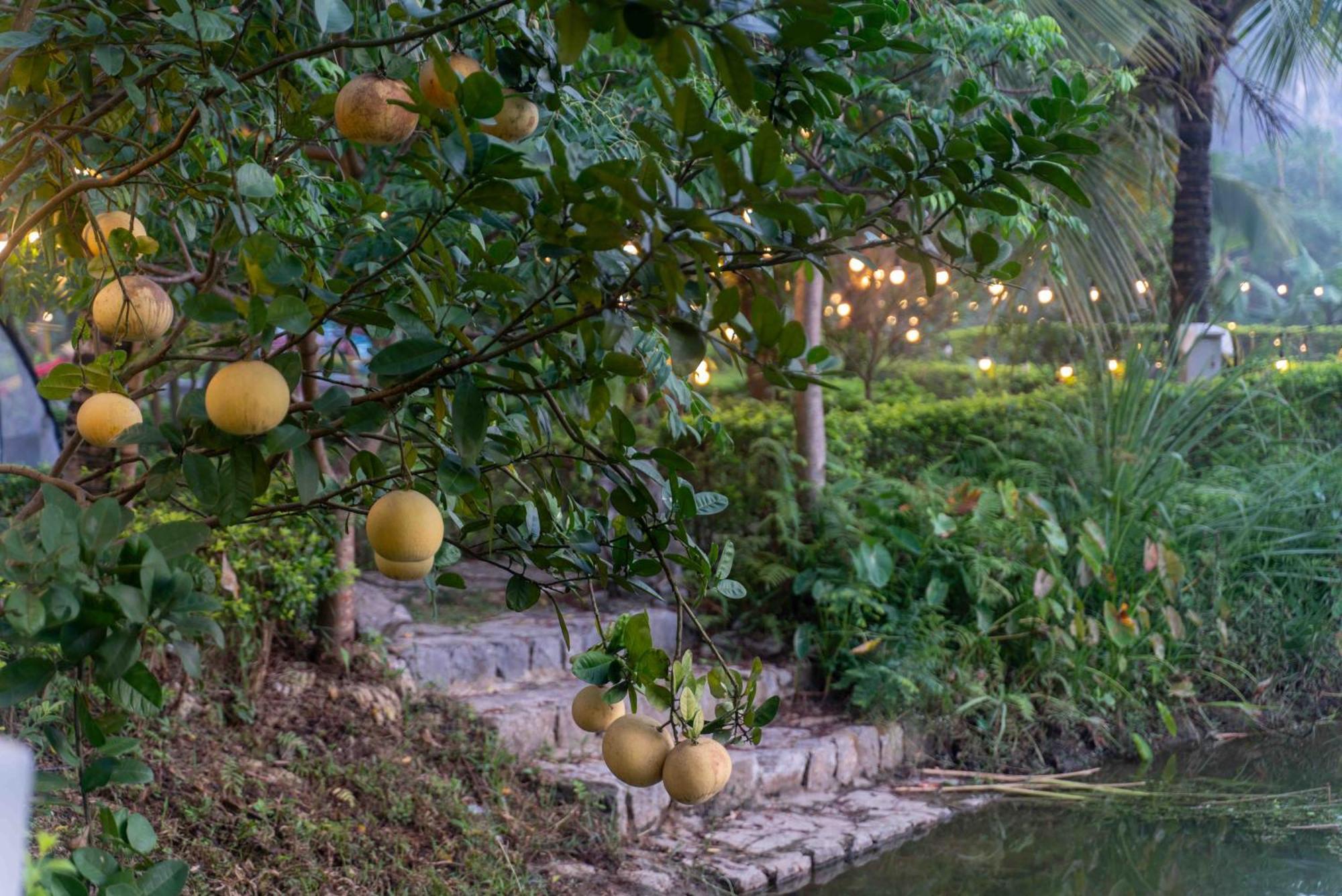 The Goat Boutique Resort Ninh Binh Esterno foto